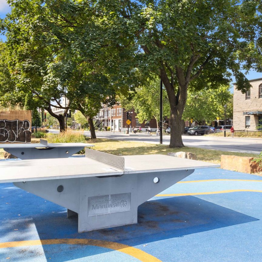 Appartement à louer, Montréal (Le Plateau-Mont-Royal) - Photo 1