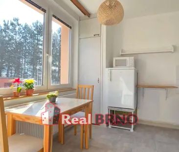 Pronájem bytu 1+1 33 m - Fotografie 2