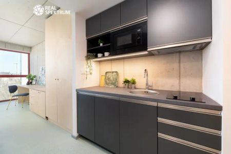 Pronájem moderního bytu 1+kk (Deluxe) u Vaňkovky – BEZ PROVIZE! - Photo 5