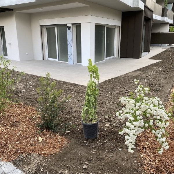 2.5 Zimmer, 83 m² - Photo 1