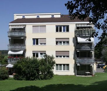 Spacious apartment in a green residential area in Uster - Photo 6