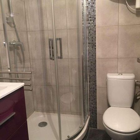 Location Appartement 1 pièce 16m² - Photo 3