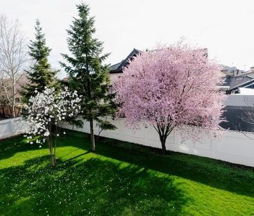 Premium villa for rent | Pipera area - Photo 6