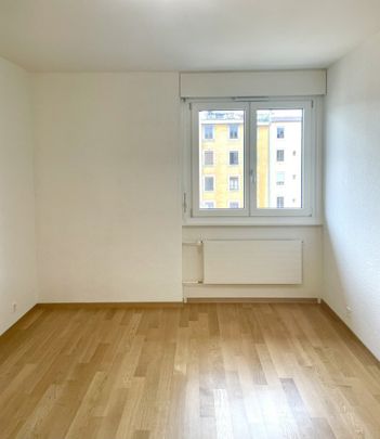 Plaine de Plainpalais - Université - Foto 1