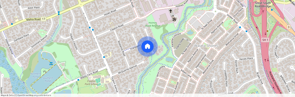 23 Frangipani avenue, Manurewa, Manukau City