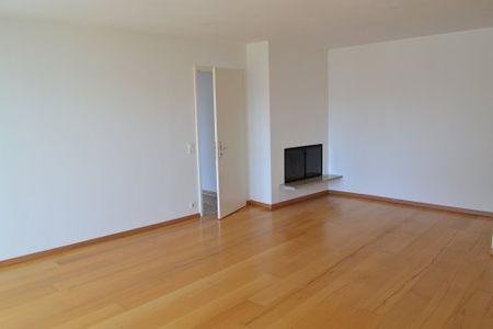 ruhiges Wohnen am Zürichberg - Photo 2