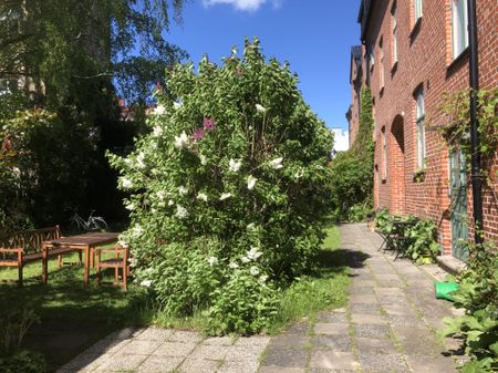 Möllegatan, Lund - Photo 5