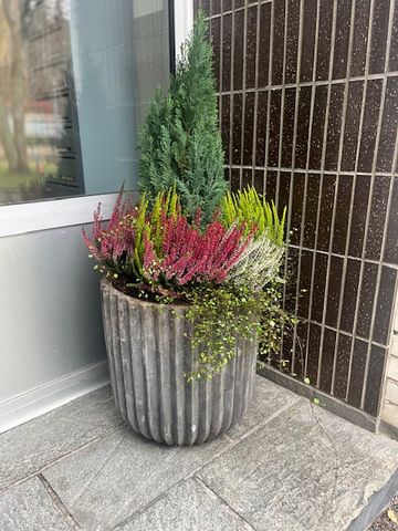 Oxtorgsgatan, Söderhamn - Foto 4