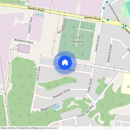 20 Cockatiel Street, NSW 2283, Toronto