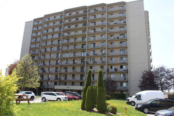 Wonderland Place II - Photo 1