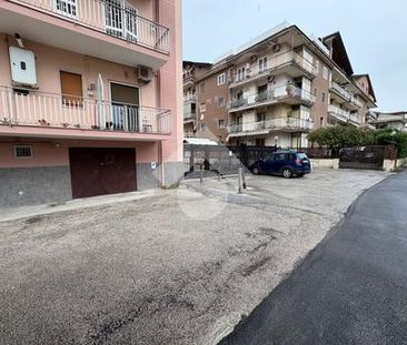 Trilocale in affitto - Photo 1
