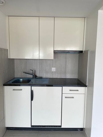 Rue de la Roselière 11 - Yverdon-les-Bains - Photo 3