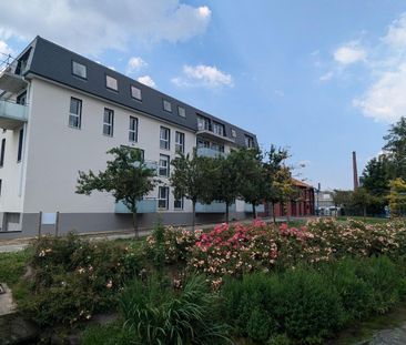 Location Appartement 2 pièces 39m² DEVILLE LES ROUEN 76250 - Photo 6