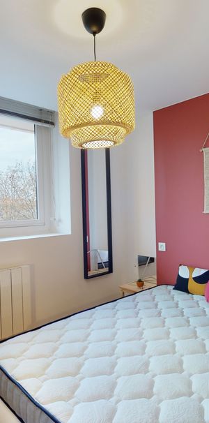MINIMES LE Roommate 3 Bedrooms at Toulouse - Photo 1
