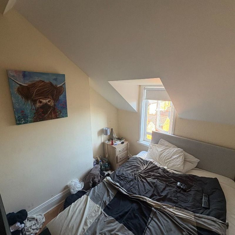 49 Elaine Street, Belfast BT9 5AR - Photo 1