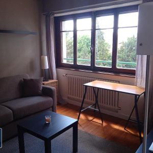 Location Appartement 1 pièce 28m² ANNEMASSE 74100 - Photo 2