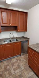 New Westminster 1 bedroom apartment + Den available NOW - Photo 3