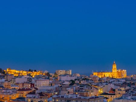 Paseo Martiricos, Málaga, Andalusia 29009 - Photo 5