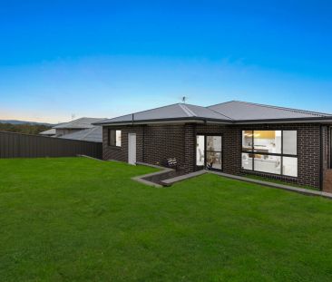 38 Fig Crescent, Edgeworth. - Photo 5