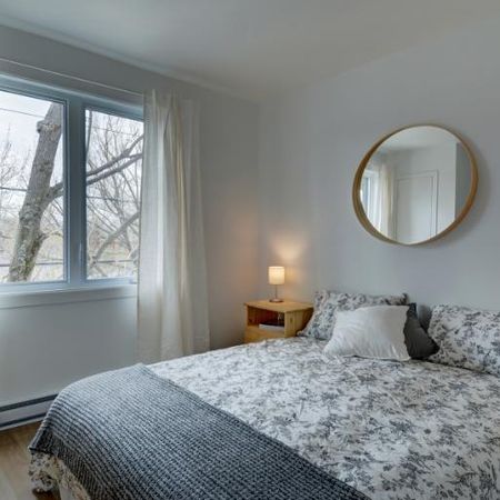 Appartement 3 ½ à louer Limoilou juillet 2026 - Photo 4