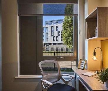 1 bedroom in a flat share to rent - Photo 4