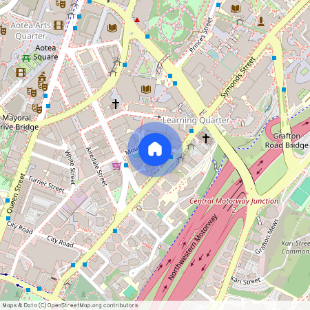 8 Mount Street, Grafton, Auckland City