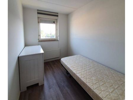 Te huur: Huis Michiel de Ruyterstraat in Waalre - Photo 4