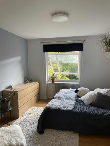 Sofiavägen, Lund - Photo 4