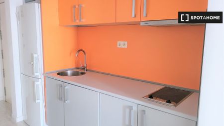 madrid, Community of Madrid 28004 - Photo 4