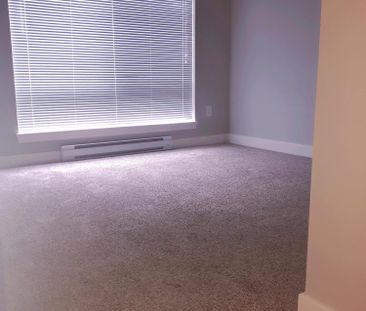 Central Park Village North – 3BD/2BA - Photo 3