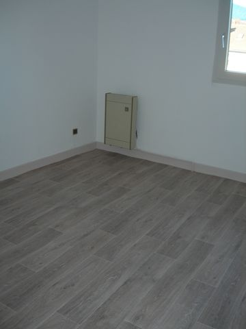 Petit T2 entièrement rénové - Photo 5