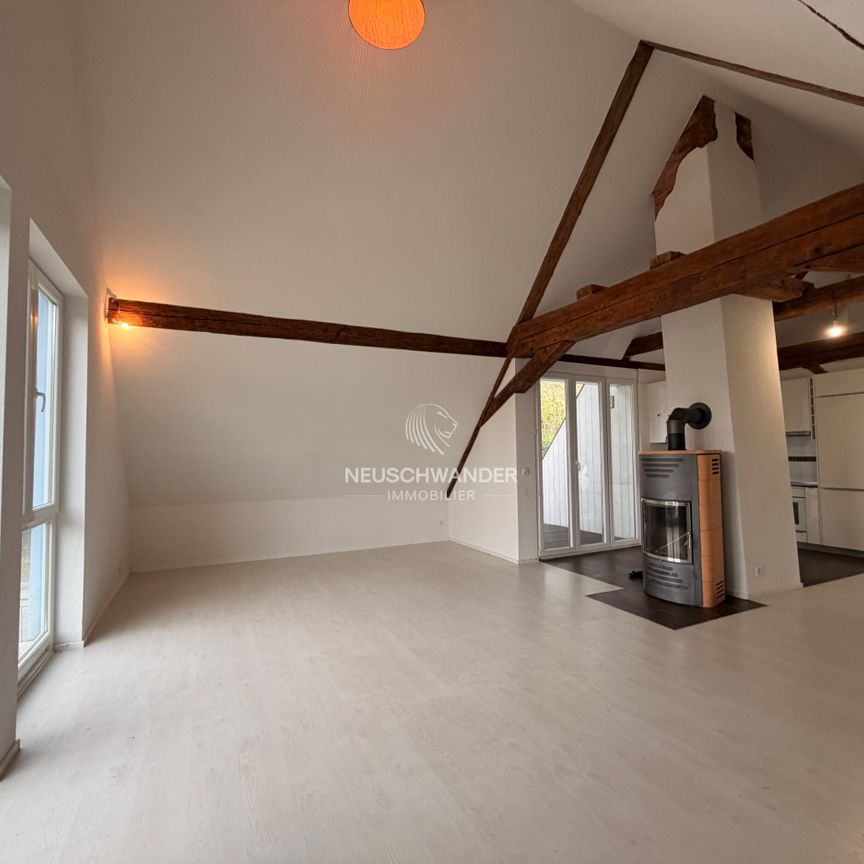 A louer charmant appartement de 4,5 pièces avec terrasse à Asuel - Photo 1