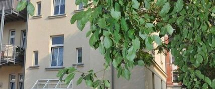 * FREI * gepflegte 2 Zimmerwohnung * EG - ruhig - hell - - Foto 1