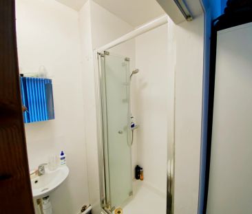 1 Bedroom - Photo 6