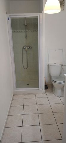 Location Appartement 1 pièce SAUMUR 49400 - Photo 5