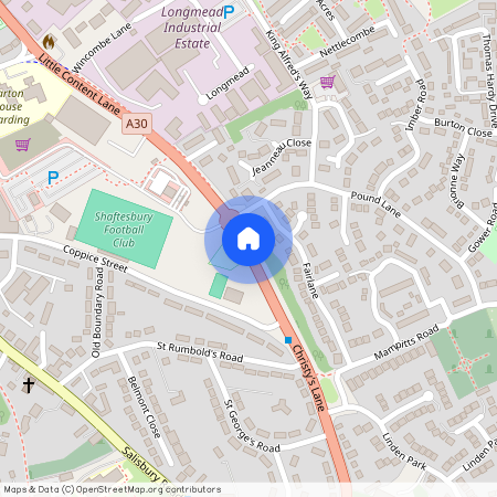 Wild Flower - Shaftesbury