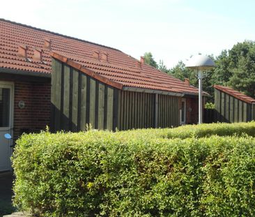 7870, Roslev - Foto 5