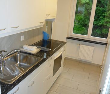 Charmante Wohnung an zentraler Lage in Küssnacht am Rigi - Photo 5