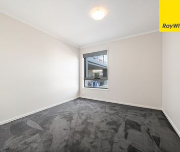 MODERN BRUCE LIVING! - Photo 3