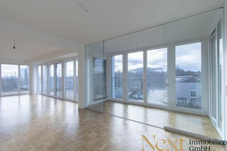 Moderne 2-Zimmer-Loftwohnung mit großzügiger Südterrasse in Linz nähe WIFI zu vermieten! (Top 52) - Foto 3