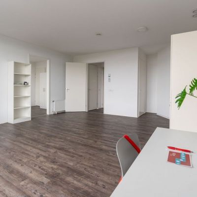 Hoptillepad en Horstenberg - Photo 1