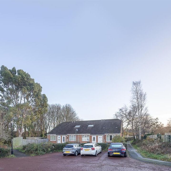 1 bedroom bungalow to rent - Photo 1