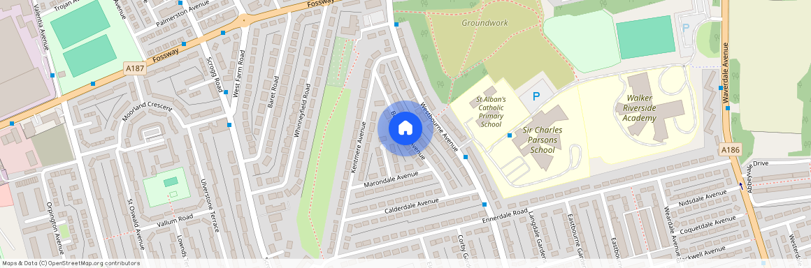 Borrowdale Avenue, Newcastle Upon Tyne