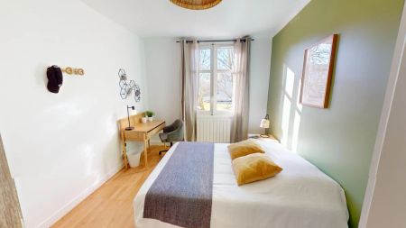 33 Rue Salomon Reinach 33, Lyon - Photo 3