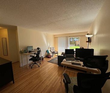 Kitsilano, Bright, Large 1 Bed, 2nd Flr, October 1st - Photo 1