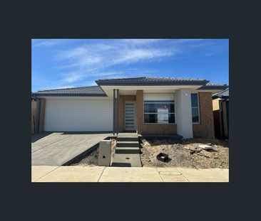 House for Rent - Mickleham - Photo 6