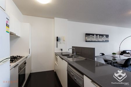 Move-in ready! Spring Hill 2B2B Apt - Photo 4