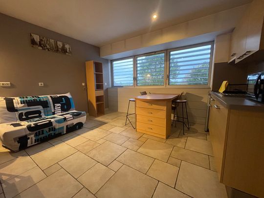 Location Appartement 1 pièce 28m² - Photo 1