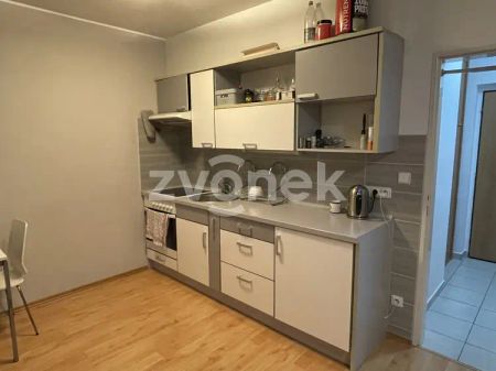 1+kk U Centrálního parku, Zlín s velkou terasou, vybavený - Photo 3