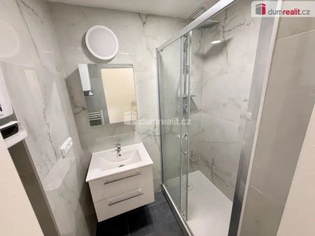 Elegantní byt 2+1 po kompletní rekonstrukci s klimatizací v srdci Žižkova - Fotografie 5